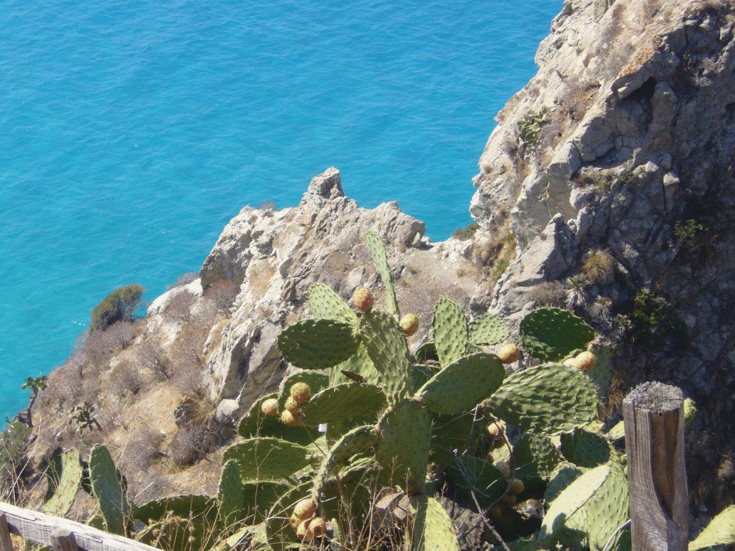 Hotel Virgilio Tropea Eksteriør bilde